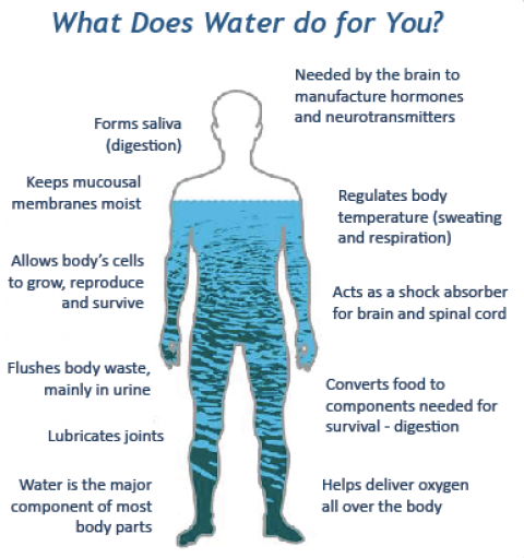 Staying Hydrated During the Winter – Your Water Wellness