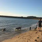 Dave-on-the-beach-with-Dog