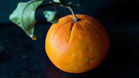 What are you doing big?