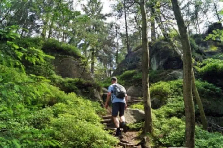 Nature