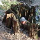 Tara Davidson Testimonial Image