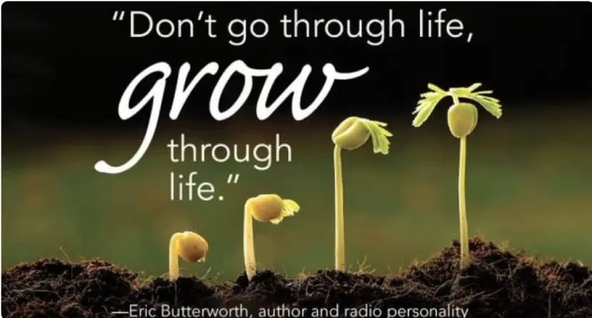 Dont go through life